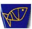 peixe.jpg (2528 bytes)