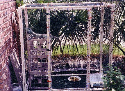 Small PVC cage. (Photo by C. Rigby)