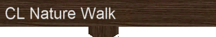 Community Leaders Walk