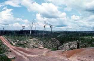 Deforested Amazon