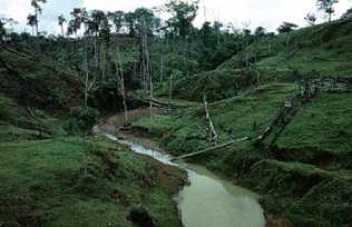 Deforestation and Erosion