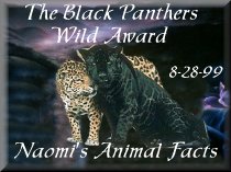 Web Brawls Black Panthers Wild Award