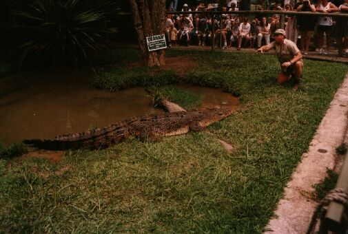 Steve Irwin with Graham the croc.