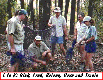 filming The Crocodile Hunter Hunters.