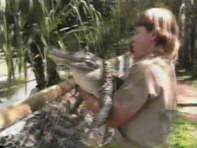 Steve taking Alligator to another enclosure