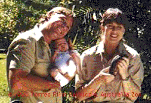 Steve and Terri with a shingleback skink and their baby, Bindi Sue Irwin.