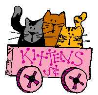 Meet VikiKat's Kittens