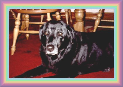 Sam.jpg - 26218 Bytes
