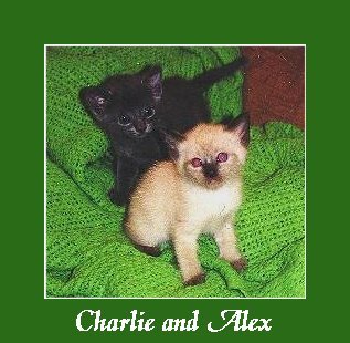 Alex and Charlie.JPG - 28048 Bytes