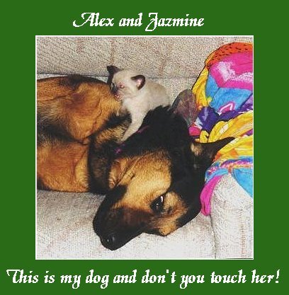 Alex and Jaz2.JPG - 46077 Bytes