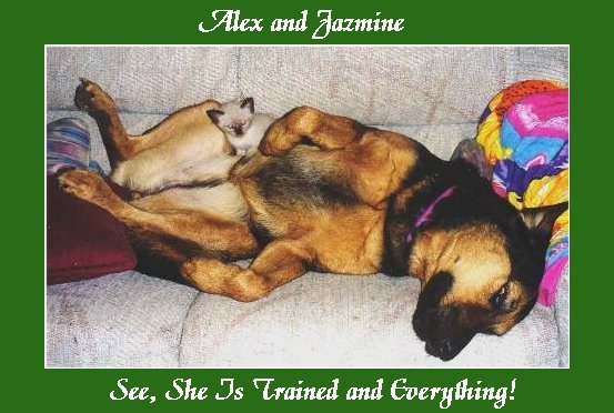 Alex on Jaz.JPG - 55411 Bytes