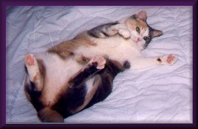 belly3hope1.jpg - 23680 Bytes