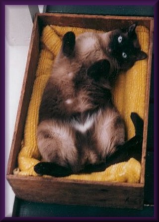 belly4maggie.jpg - 33665 Bytes