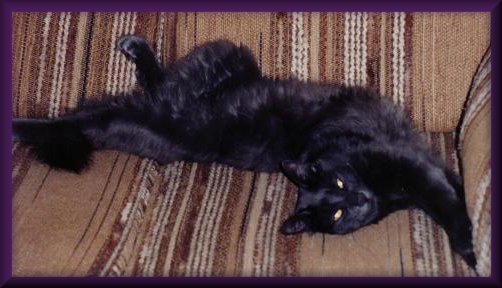 belly5jacob.jpg - 36058 Bytes