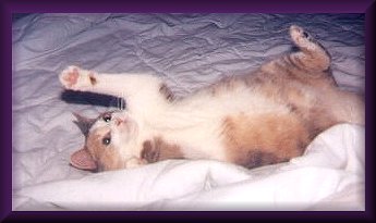 belly7hope2.jpg - 15556 Bytes