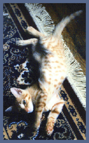 T7.gif - 95364 Bytes