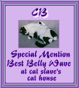 bbwsm1.jpg - 20741 Bytes