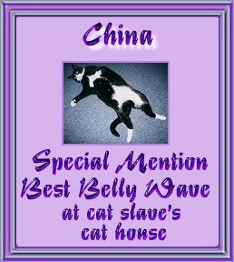 bbwsm2.jpg - 21749 Bytes
