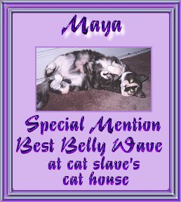 bbwsm3.jpg - 23031 Bytes