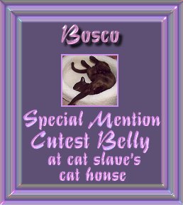 cbsm.jpg - 16485 Bytes