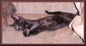 charliebabybelly.JPG - 21790 Bytes
