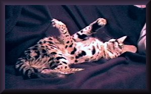 moosie1renae.jpg - 14920 Bytes