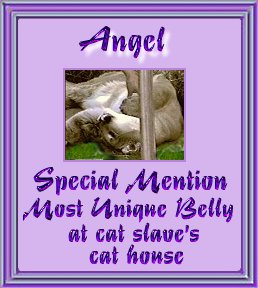mubsm1.jpg - 21326 Bytes