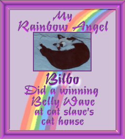 rabilbo1.jpg - 18002 Bytes
