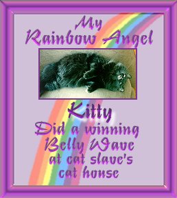 rakitty1.jpg - 19145 Bytes