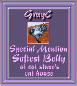 sbsm.jpg - 17141 Bytes