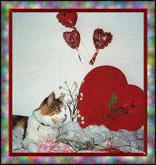 valentinecallie1.jpg - 26456 Bytes