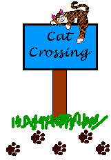 thumbnail of your picture #2