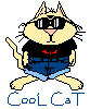 Fun Feline Stuff!