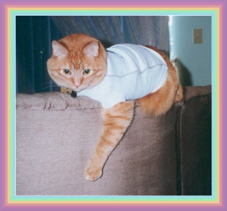 henry1.jpg - 31765 Bytes