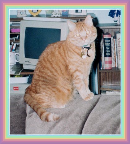 henry2.jpg - 44226 Bytes