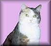hopebutton1.jpg - 2696 Bytes