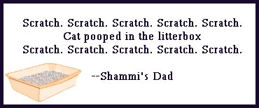 litterhaiku.jpg - 15723 Bytes