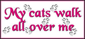 No ordinary cats
