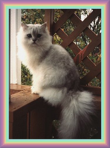 remy.jpg - 40520 Bytes