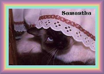 samtha.jpg - 21197 Bytes