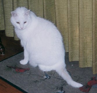 tuffy1.jpg - 22226 Bytes