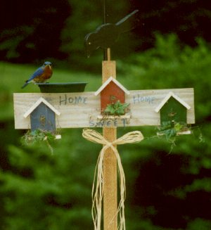 bluebird3.jpg (18337 bytes)