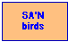 SA'n Birds