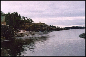 Site 1