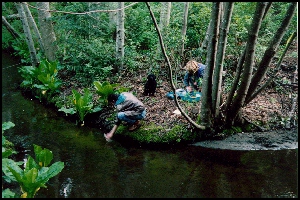 Site 3