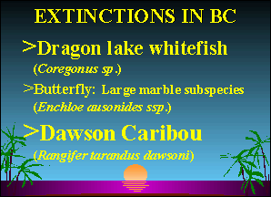 Slide 12