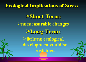 Slide 14