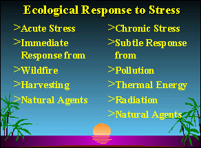 Slide 15