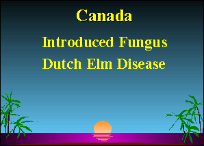 Slide 16