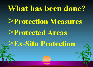 Slide 17